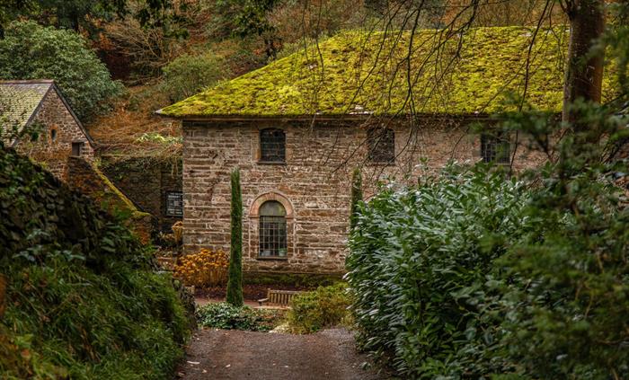 A shingle path leads down towards the Old Mill at Bodnant Garden, with its moss-covered roof and stone walls, taken in January. In the foreground, Ita
